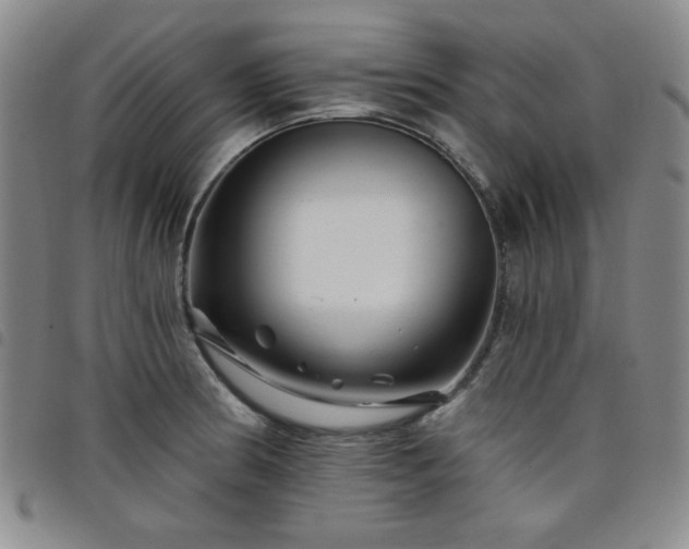 X0000098151186200804241732