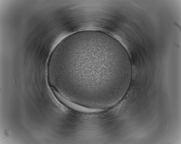 X0000098151187200804241732