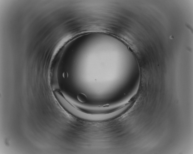 X0000098151188200804241732