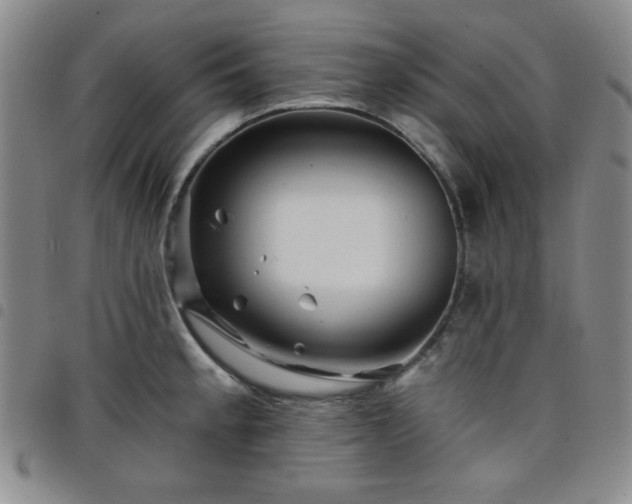 X0000098151189200804241732