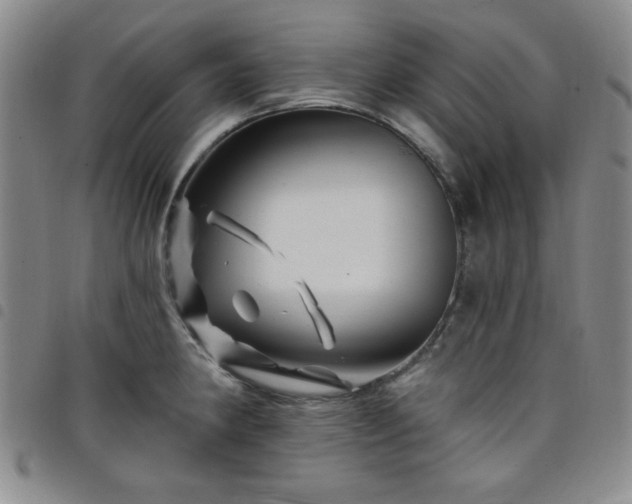 X0000098151190200804241732