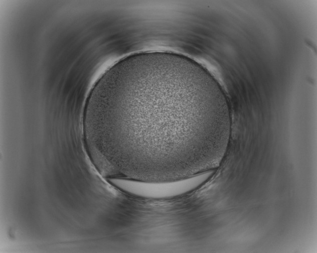 X0000098151191200804241732