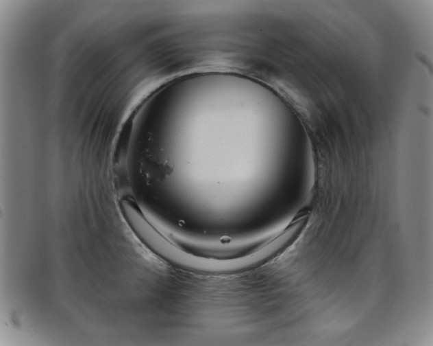 X0000098151192200804241732