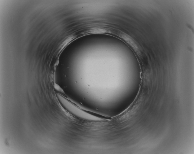 X0000098151193200804241732