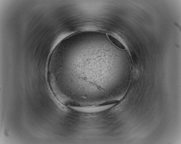 X0000098151195200804241732