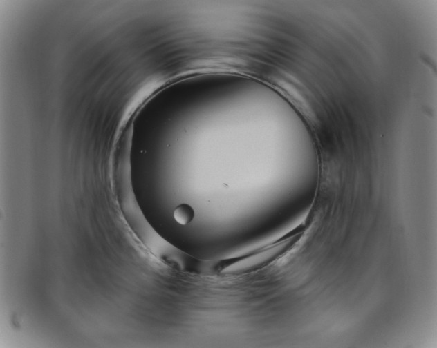 X0000098151196200804241732