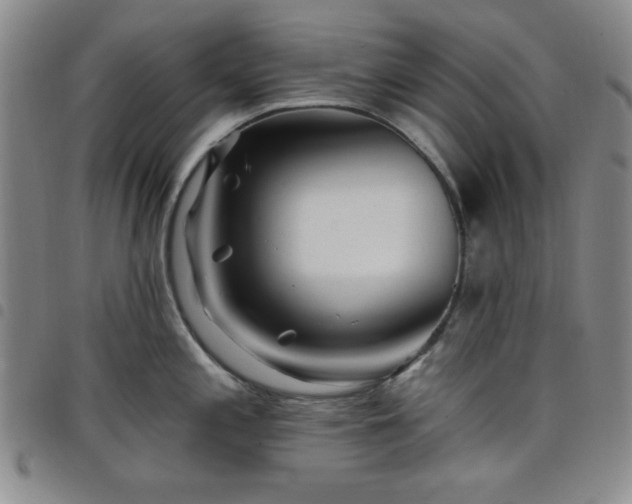 X0000098151197200804241732