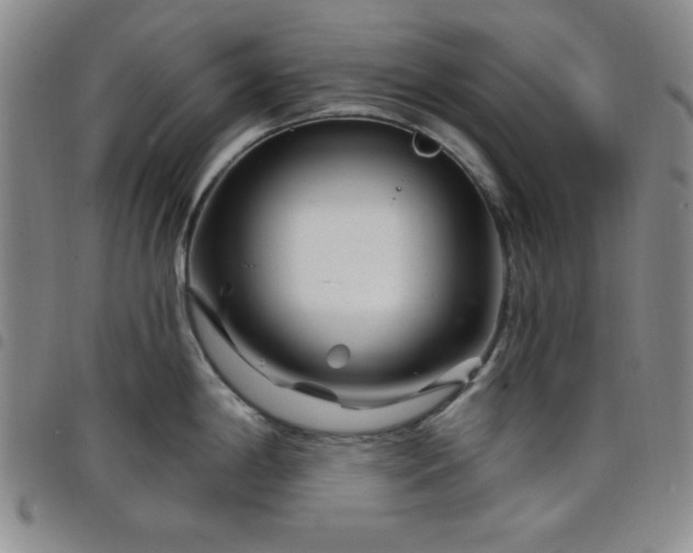 X0000098151198200804241732