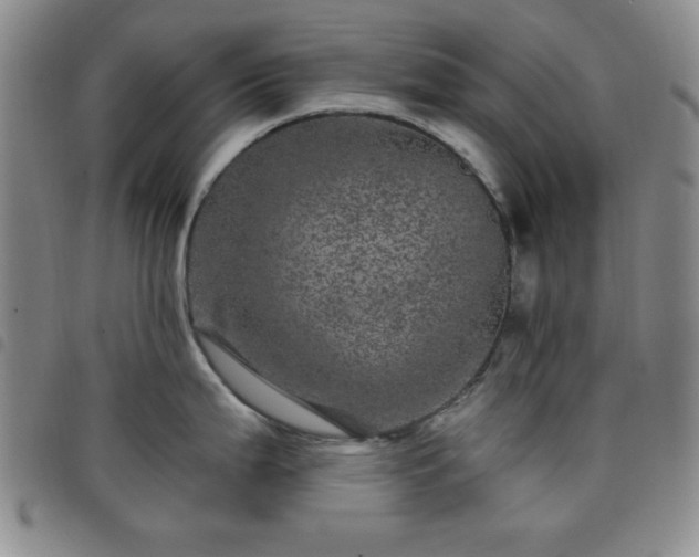 X0000098151199200804241732