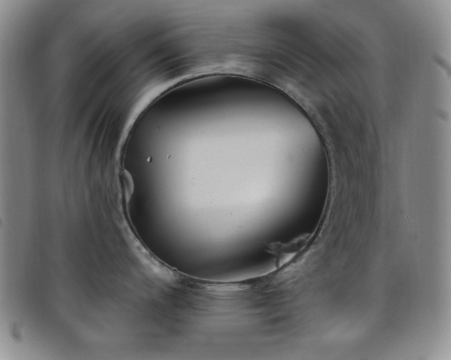X0000098151200200804241732