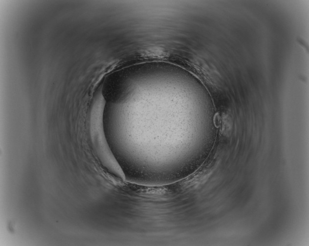 X0000098151201200804241731