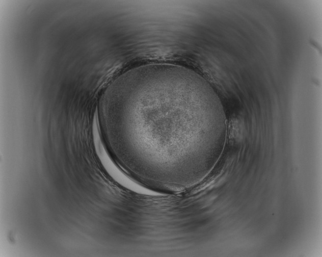 X0000098151202200804241731