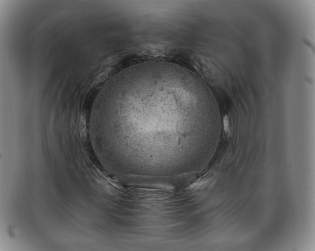 X0000098151203200804241731