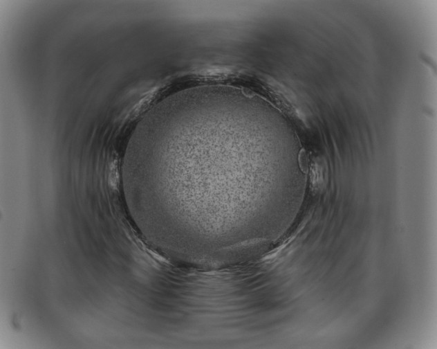 X0000098151204200804241731