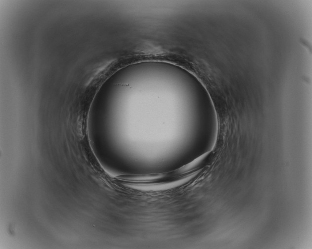 X0000098151205200804241731