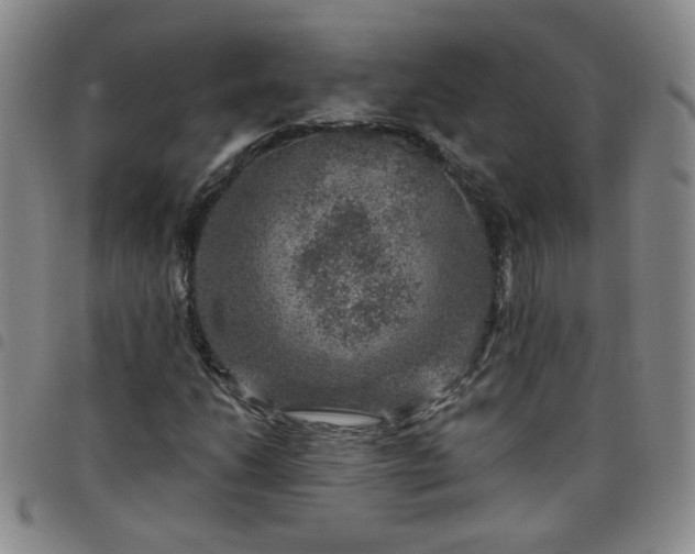 X0000098151206200804241731