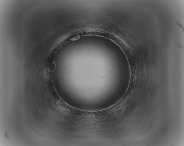 X0000098151207200804241731