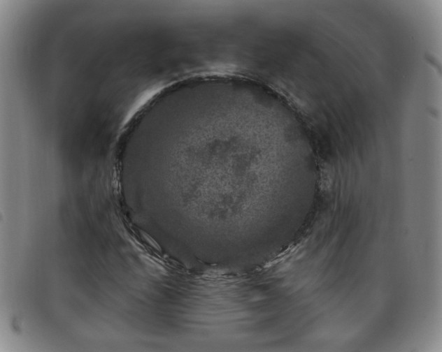 X0000098151208200804241731