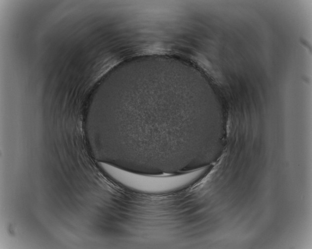 X0000098151209200804241731