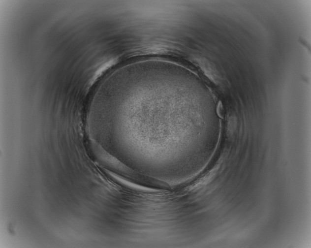 X0000098151210200804241731