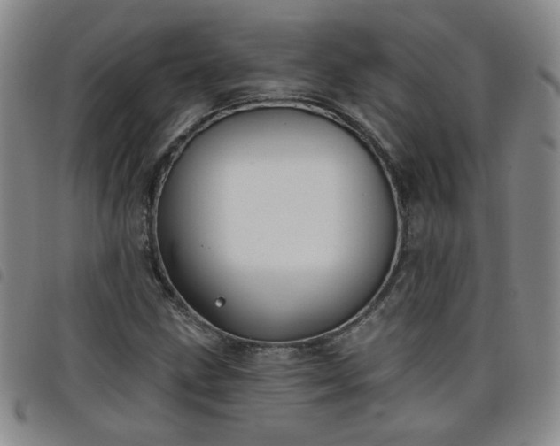 X0000098151211200804241731