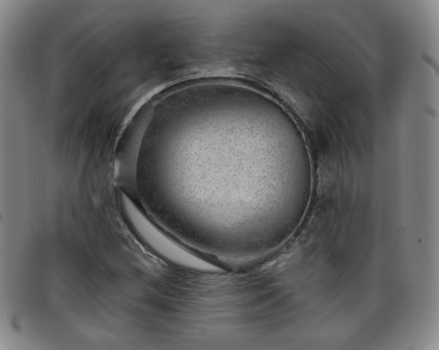 X0000098151212200804241731