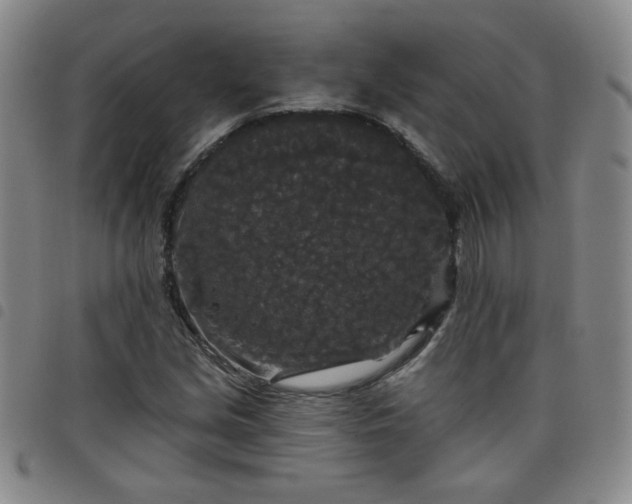 X0000098151213200804241731