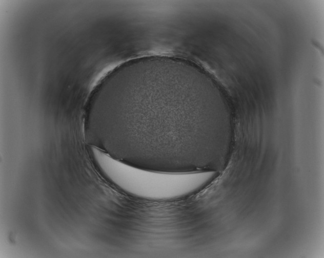 X0000098151214200804241731
