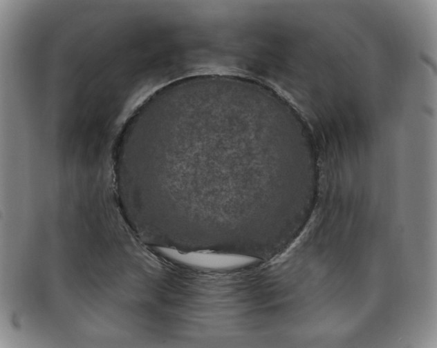 X0000098151215200804241731