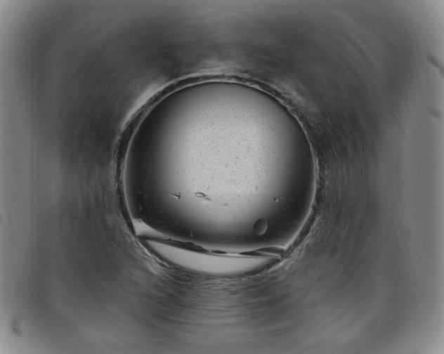 X0000098151216200804241731