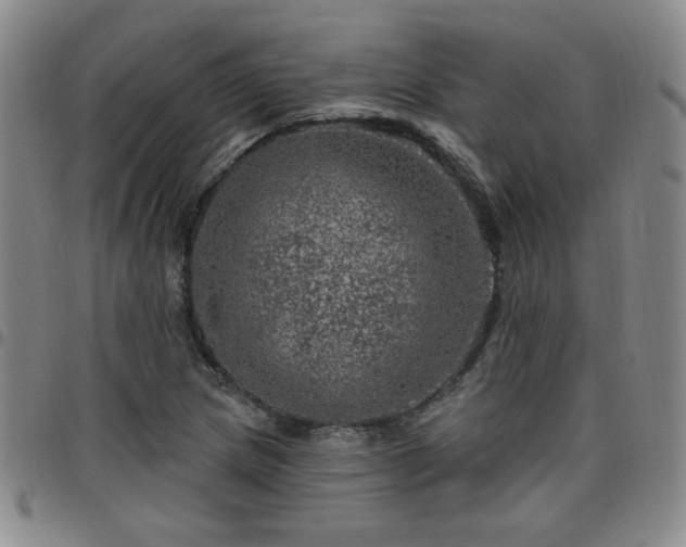 X0000098151217200804241731