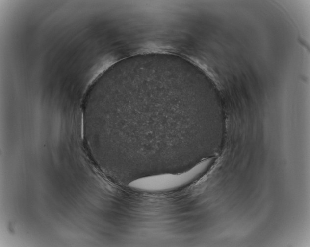 X0000098151219200804241731