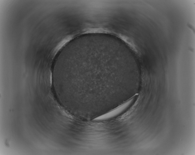 X0000098151221200804241731