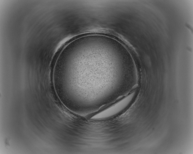 X0000098151222200804241731