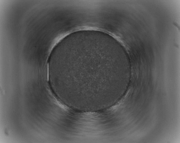 X0000098151223200804241731