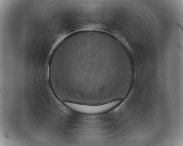 X0000098151224200804241731