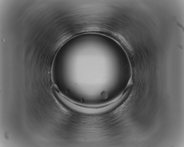 X0000098151225200804241731