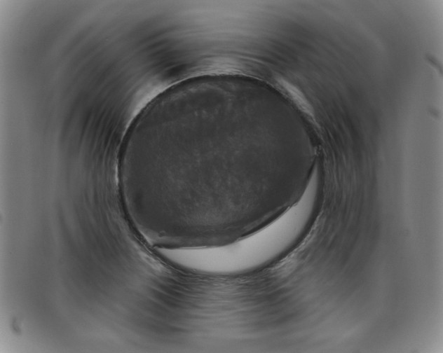 X0000098151226200804241731
