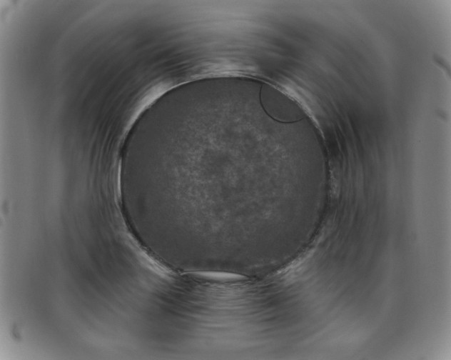 X0000098151227200804241731