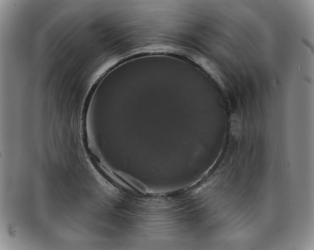 X0000098151229200804241731