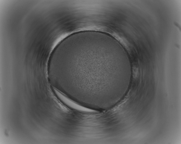 X0000098151230200804241731