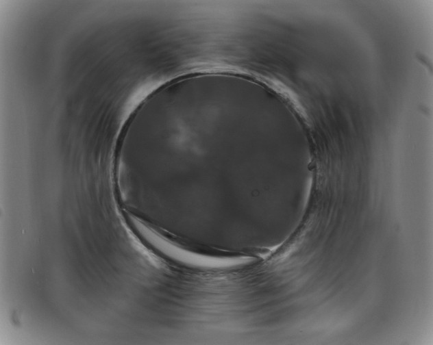 X0000098151231200804241731