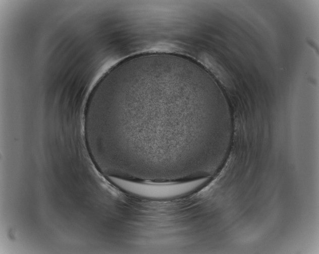 X0000098151232200804241731