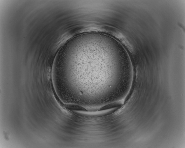 X0000098151233200804241731