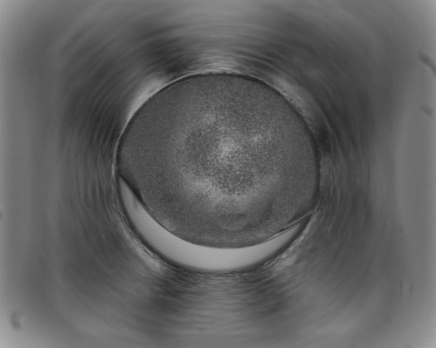 X0000098151234200804241731