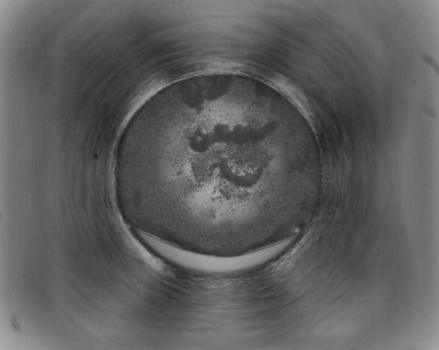 X0000098151235200804241731
