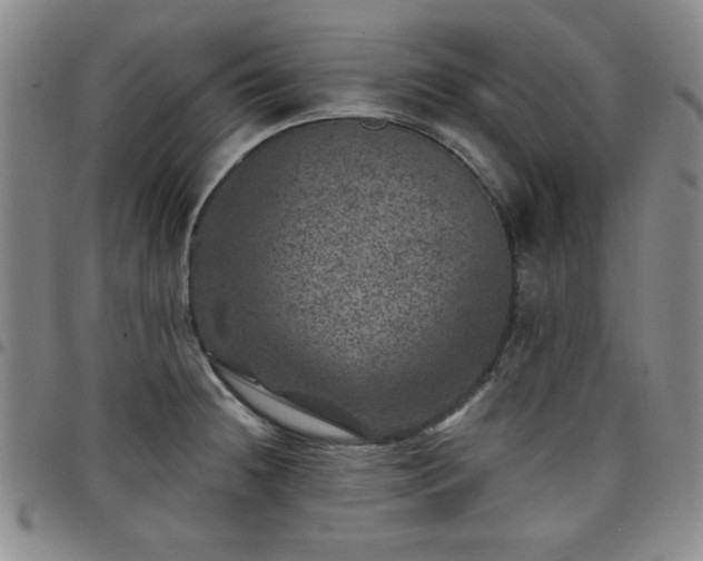 X0000098151236200804241731