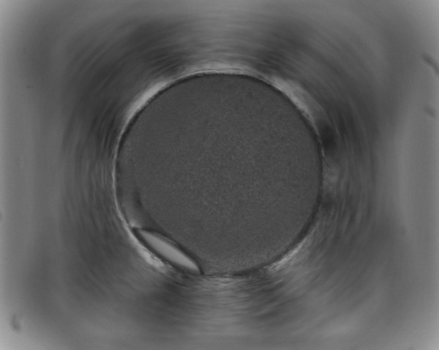 X0000098151237200804241731