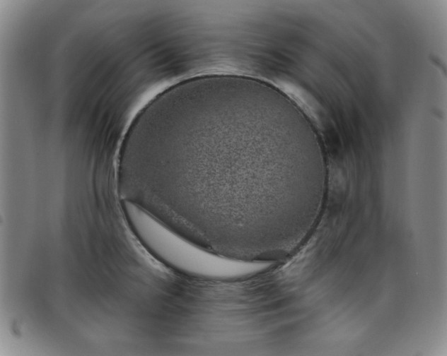 X0000098151238200804241731