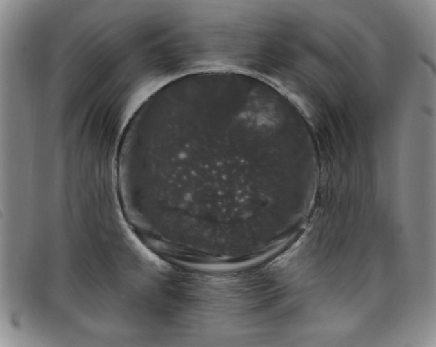 X0000098151239200804241731